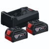 Bosch aku Bosch 2xGBA18V 5.0Ah, GAL12V/18 Starter Kit