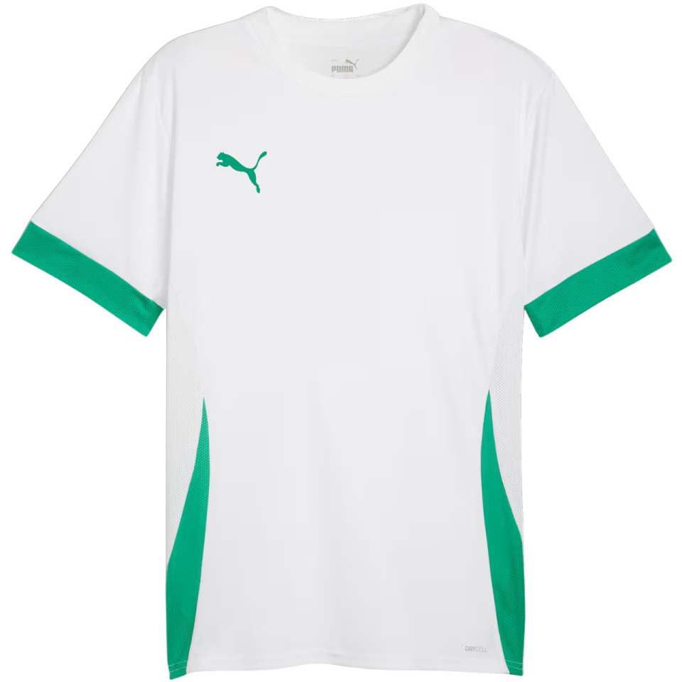Puma T-särk meestele Teamgoal Matchday Jersey valge-roheline 705747 15 suurus S