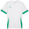 Puma T-särk meestele Teamgoal Matchday Jersey valge-roheline 705747 15 suurus M