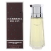 Carolina Herrera meeste parfüüm EDT Herrera For Men (100ml)