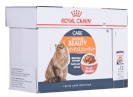 Royal Canin kassitoit Intense Beauty Chunks in Sauce, 12x85g