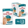 Royal Canin kassitoit Ageing 11+ Chunks in Gravy, 12x85g