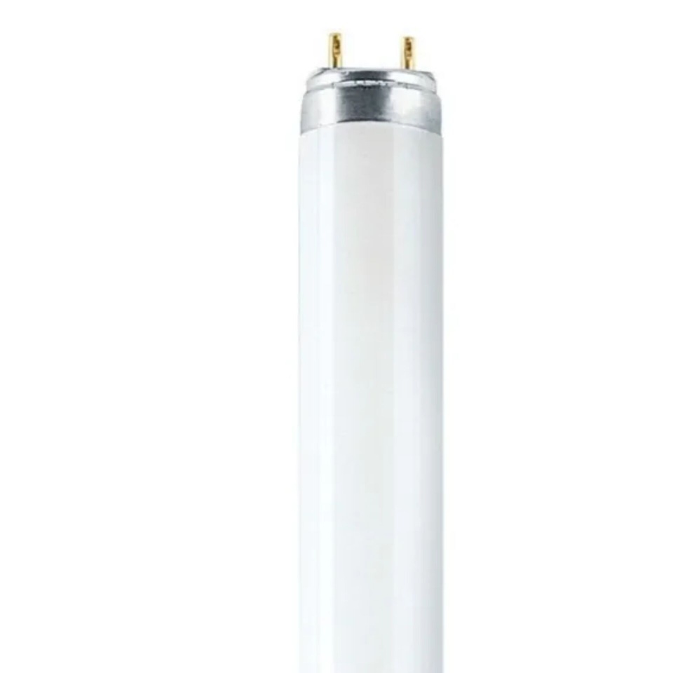 Osram luminofoortoru Fluorescent Tube L T8 36W/840 G13 97cm