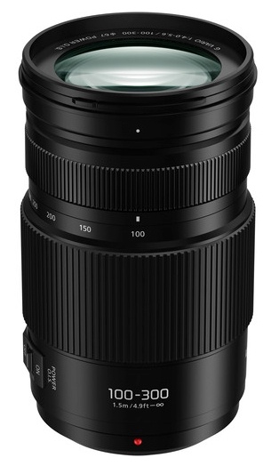Panasonic objektiiv Lumix G Vario 100-300mm F4.0-5.6 O.I.S. II