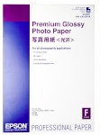 Epson fotopaber Premium Glossy Photo Paper A2, 25 lk, 255g S042091