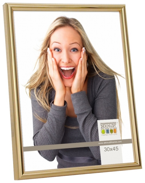 Deknudt pildiraam S011A4 30x45 Plastic Frame kuldne