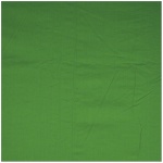 Walimex taust Cloth Background 2,85x6m, roheline