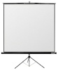 Reflecta esitlusekraan Crystal-Line Tripod lux 160x160
