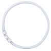 Osram luminofoortoru T5 FC40W 830 2GX13Circular Fluorescent Lamp, 1tk