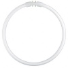 Osram luminofoortoru T5 FC22W 840 2GX13 Circular Fluorescent Lamp, 1tk