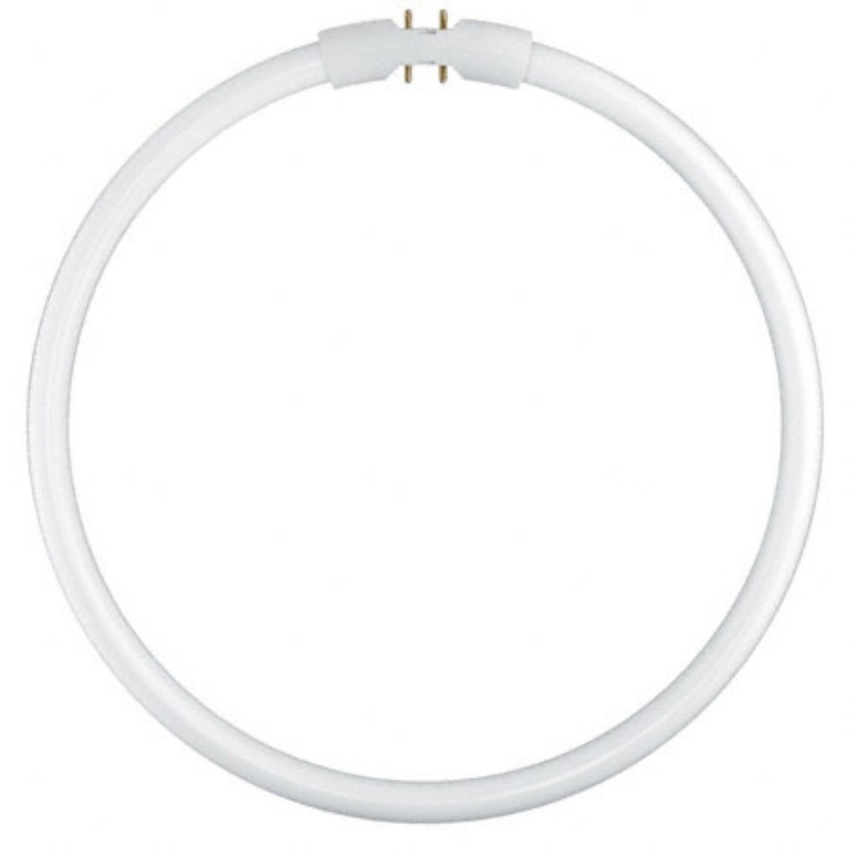 Osram luminofoortoru T5 FC22W 840 2GX13 Circular Fluorescent Lamp, 1tk