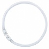 Osram luminofoortoru T5 FC55W 865 2GX13 Circular Fluorescent Lamp, 1tk