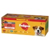 Pedigree koeratoit Vital Protection Canned Dog Food in Jelly, 40x100g 