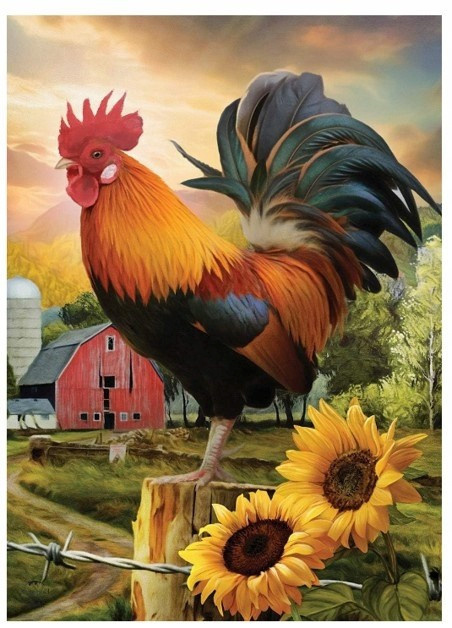 Norimpex teemantmaal Diamond Mosaic - Kogut na farmie