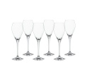 Spiegelau pokaalid Sparkling Party Gift Set, Sparkling Wine Glass, 6tk