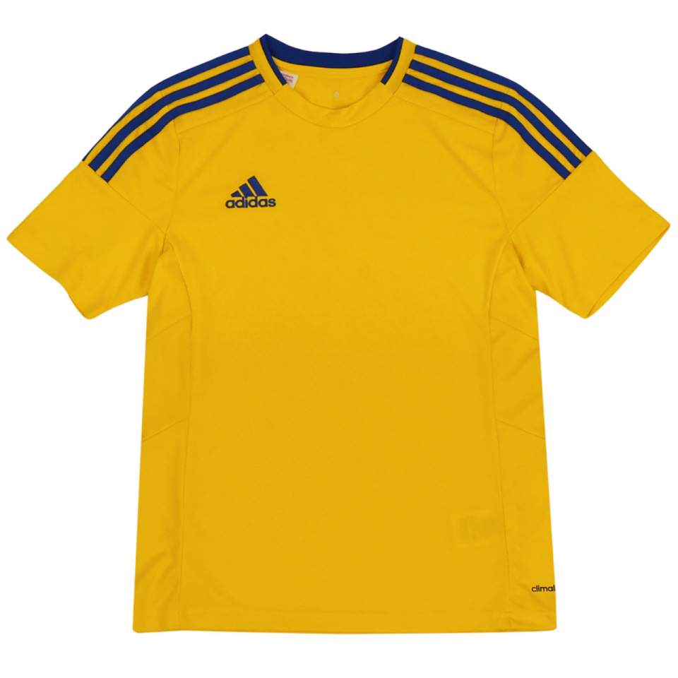 Adidas Teamwear T-särk lastele Fort 14 Jersey C Junior kollane F86476 suurus 164cm