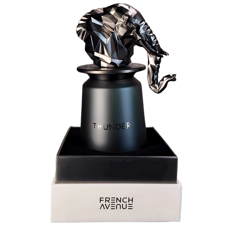 French Avenue parfüüm Thunder 100ml, meestele