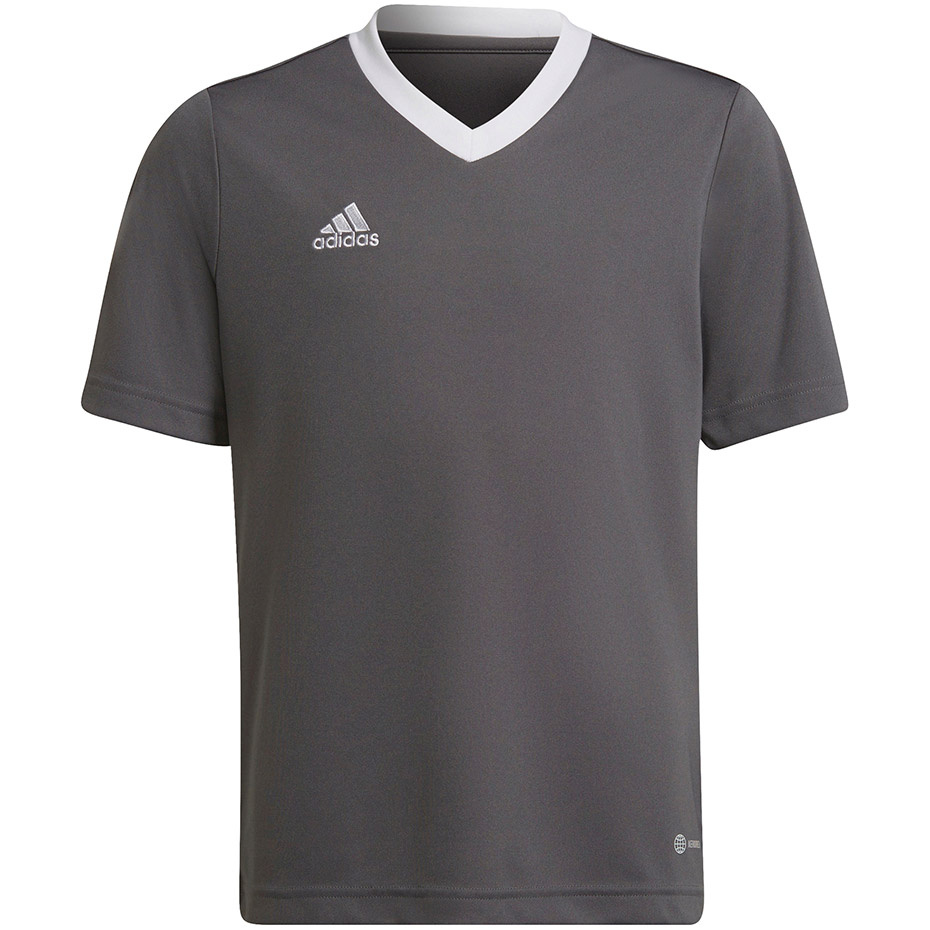 Adidas Teamwear T-särk lastele Entrada 22 Jersey hall H57499 suurus 176cm