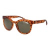 Superdry unisex päikeseprillid SDS HARA 51102