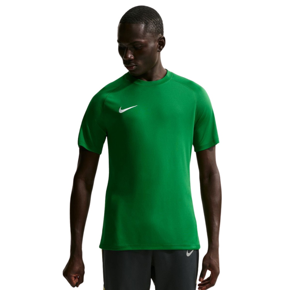 Nike Team T-särk meestele Dri-Fit Park Viii roheline HV8173 302 suurus M