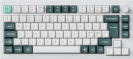 Keychron klaviatuur Q1 HE 75% mehaaniline, Gateron Double-Rail lülitid, valge