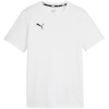 Puma T-särk lastele Team Goal Casuals Tee valge 658616 04 suurus 152cm