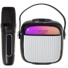 Adler kõlar Adler AD 1199B Karaoke Speaker With Microphone, must