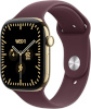 Apple Watch Series 12 46mm GPS + Cellular, M/L, Radiant Gold Titanium Case, Burgundy Sport Band, kuldne/tumepunane
