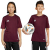 Adidas Teamwear T-särk lastele Tabela 23 Jersey bordoopunane IB4933 suurus 176cm