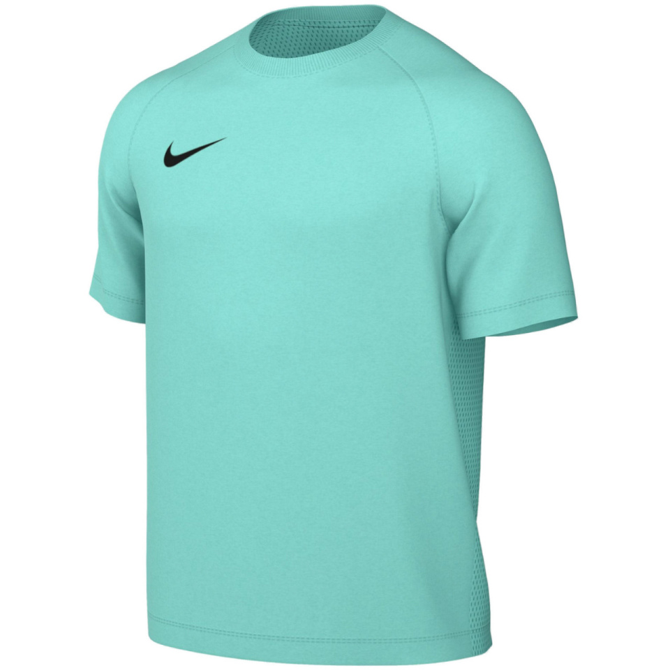 Nike Team T-särk meestele Dri-Fit Park Viii mündiroheline HV8173 354 suurus XL