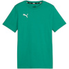 Puma T-särk lastele Team Goal Casuals Tee roheline 658616 05 suurus 140cm