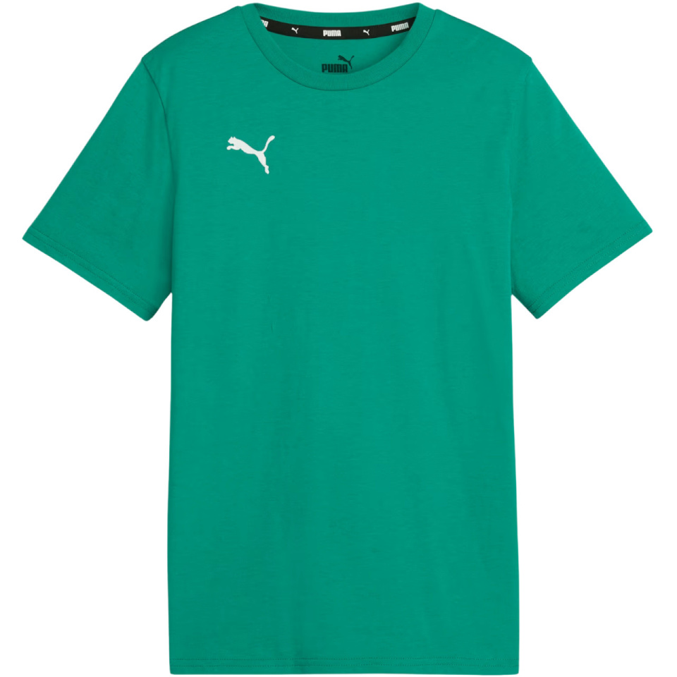 Puma T-särk lastele Team Goal Casuals Tee roheline 658616 05 suurus 140cm
