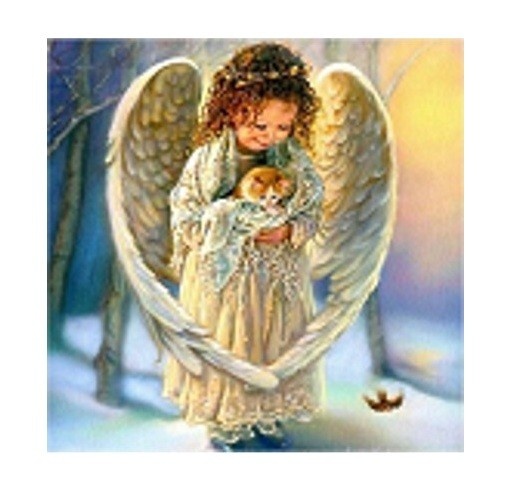 Norimpex Diamond mosaic - Angel with a Kitty