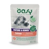 Oasy kassitoit Chunks in Gravy Mature & Senior with Salmon, 85g