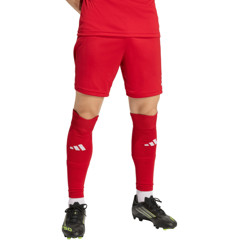 Lühikesed püksid meestele Adidas Entrada 26 punane JZ2517 L