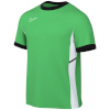 Nike Team T-särk meestele Dri-Fit Academy SS Top roheline FZ9754 329 suurus S