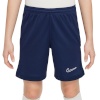 Lühikesed püksid Kids Nike Dri Fit Academy 25 tumesinine FZ9784 410 XL