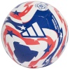 adidas FCWC Training Ball JD3826 5