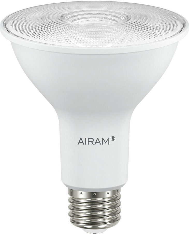 Airam lambipirn Fiora Plant Lamp, E27, 3500 K, 800 lm, 1tk
