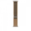 Apple kellarihm Watch 49mm Desert Alpine Loop - Large - Natural Titanium Finish