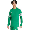 Adidas Teamwear T-särk meestele Squadra 25 Long Sleeve roheline JN7490 suurus S