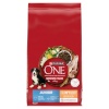 Purina Nestle kuivtoit koerale  One Junior Medium/Maxi Rich in Chicken with Rice, 7kg
