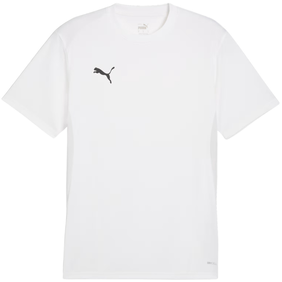Puma T-särk meestele Teamgoal Jersey valge 658636 04 suurus M