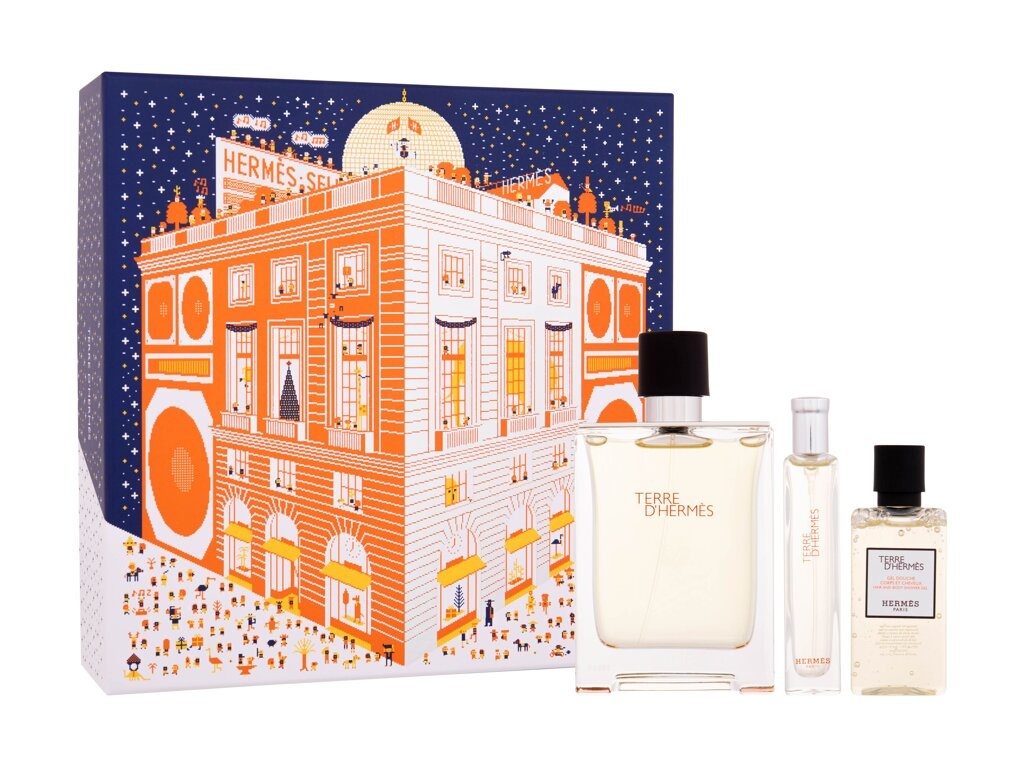 Hermes komplekt Terre d' EDT 100ml + Shower Gel 40ml + EDT 15ml, meestele