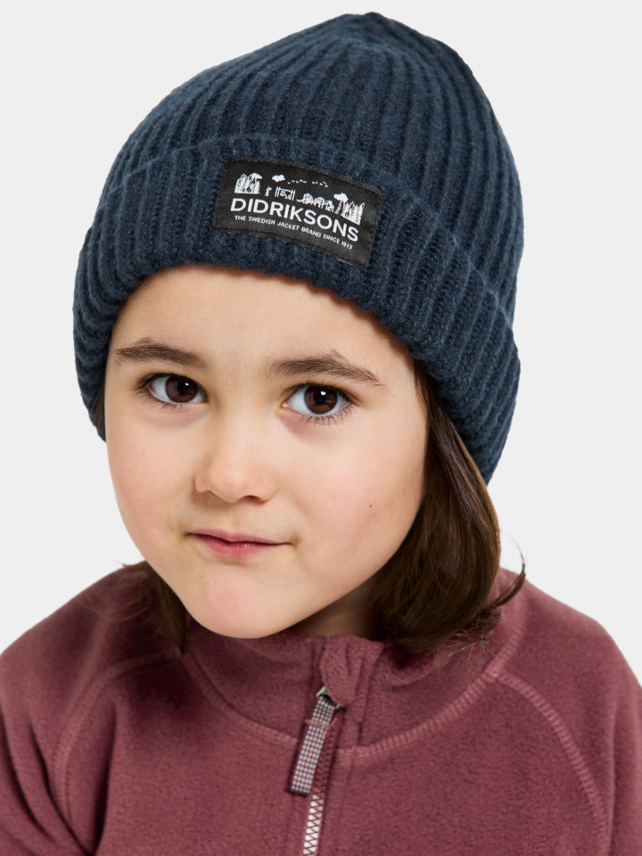 Didriksons müts BUS Kids Beanie tumesinine - suurus 48/50