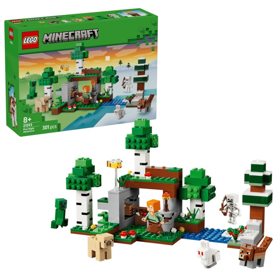 Lego klotsid MINECRAFT 21593 First Night Adventure