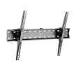 Gembird seinakinnitus TV Wall Mount WM-70T-02 37-70 ", Maximum weight (capacity) 40 kg, must