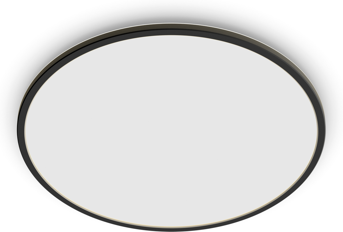 Philips plafoon SuperSlim Outdoor Ceiling Light, SceneSwitch, IP54, 4000K, must