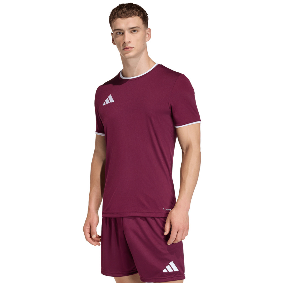 Adidas Teamwear T-särk meestele Entrada 26 Jersey bordoopunane JZ2507 suurus M