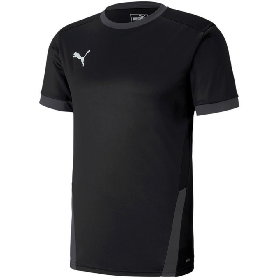 Puma T-särk meestele Teamgoal 23 Jersey must 704171 03 suurus S